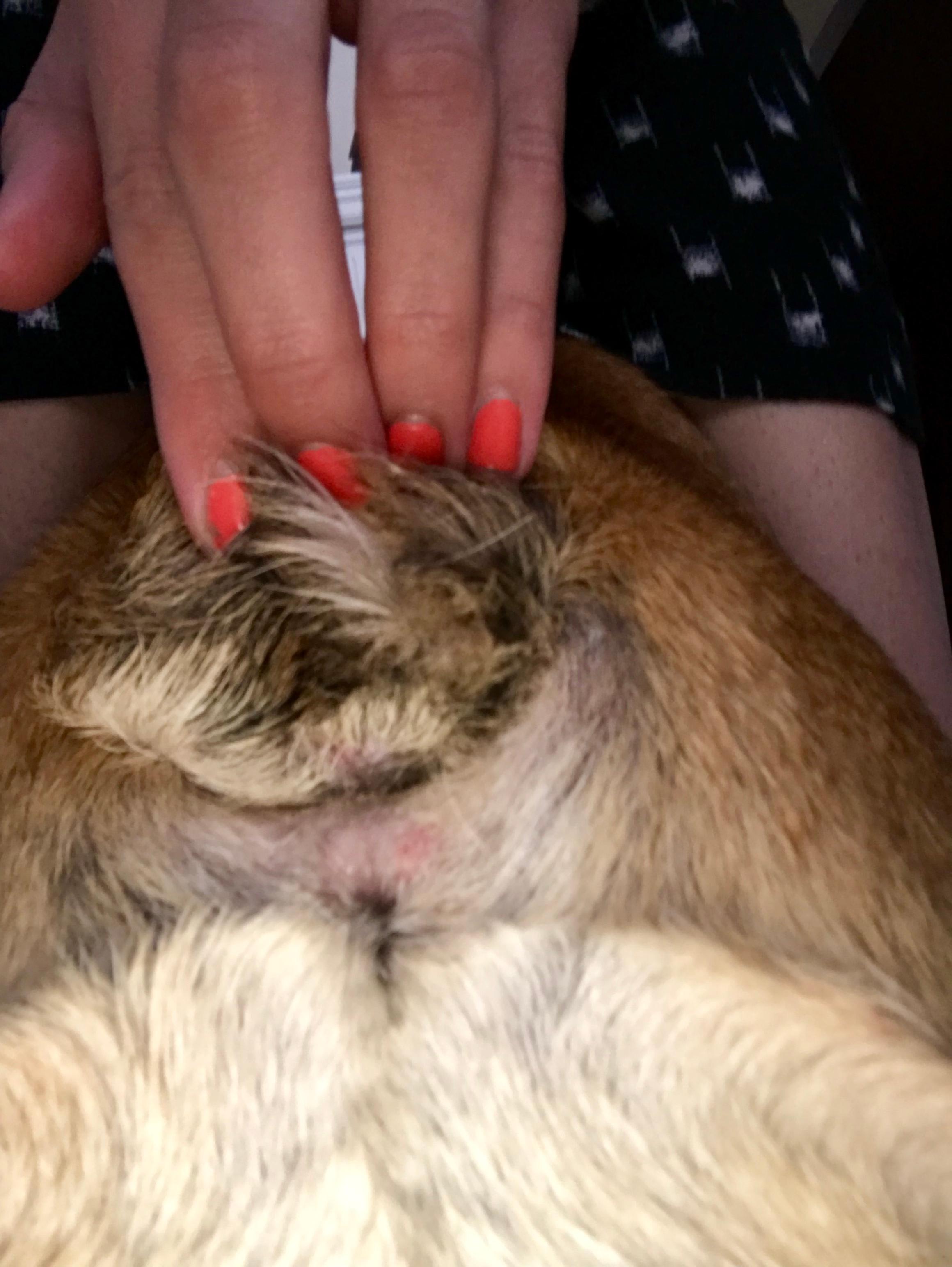 Question details sensitive content