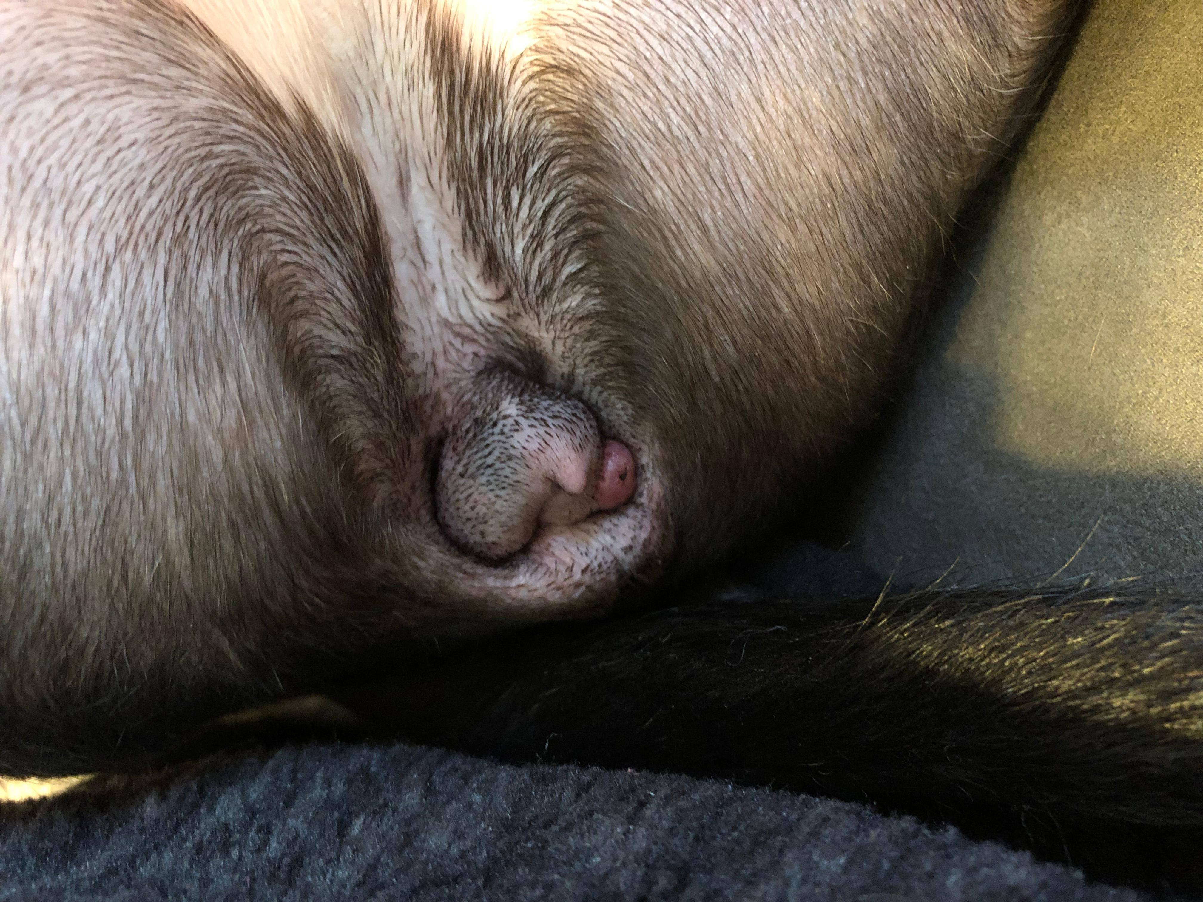 Question details sensitive content