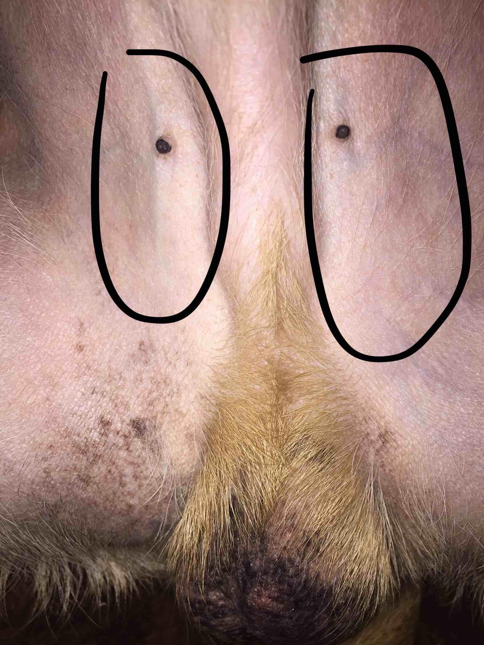 Question details sensitive content