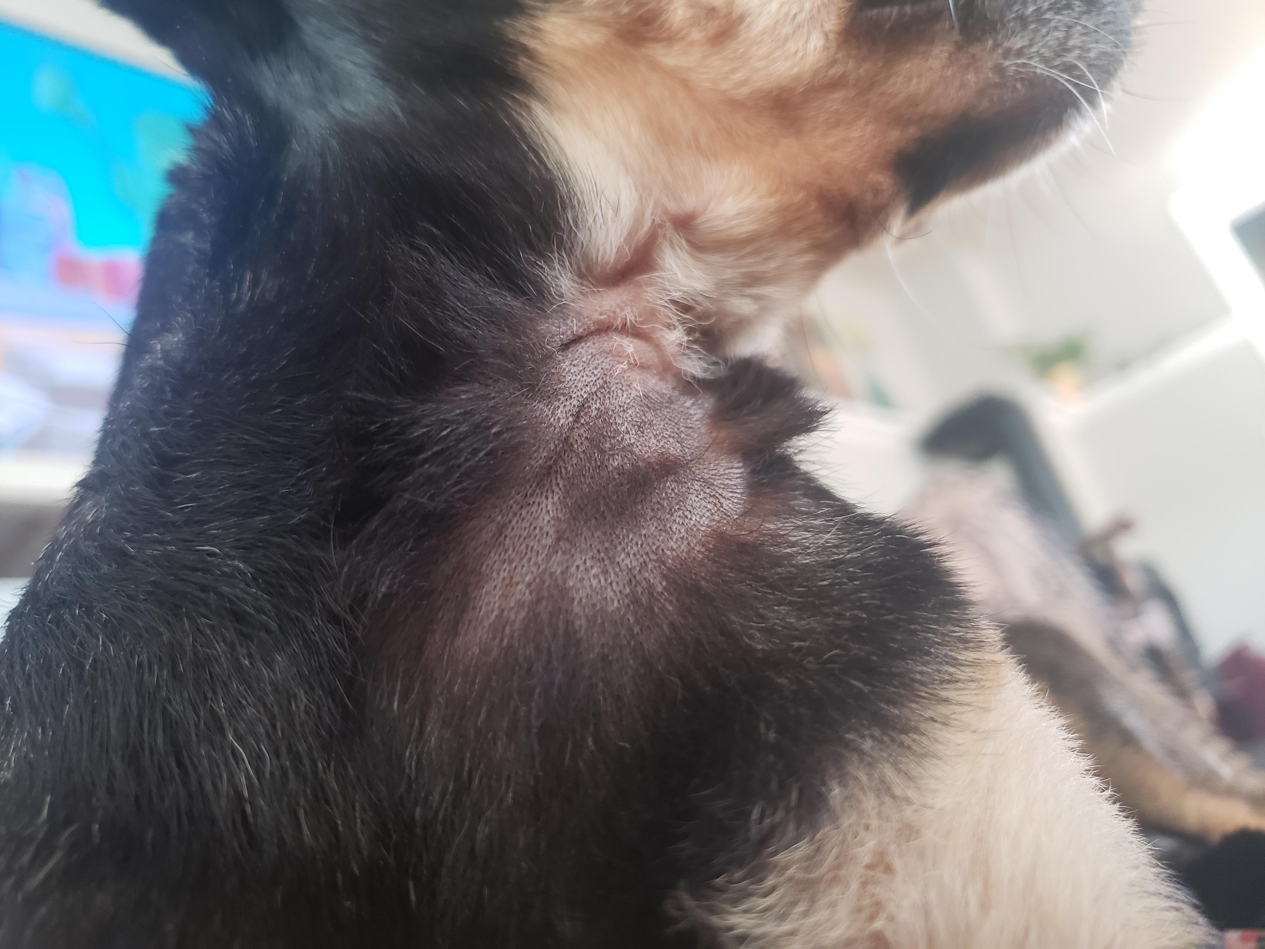 Question details sensitive content