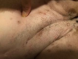 Question details sensitive content