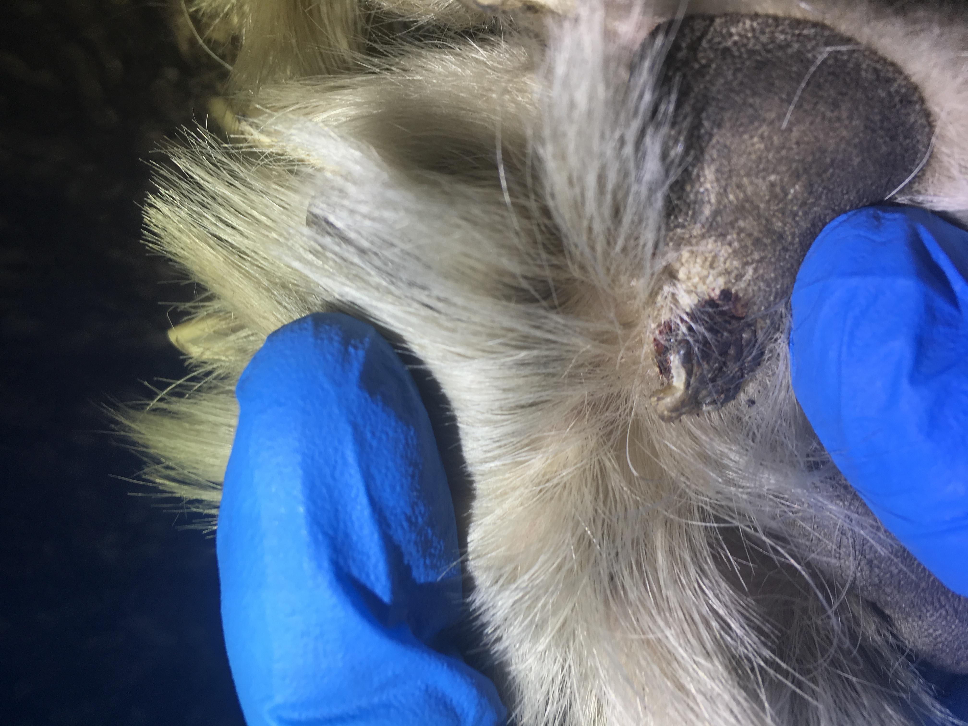 Question details sensitive content