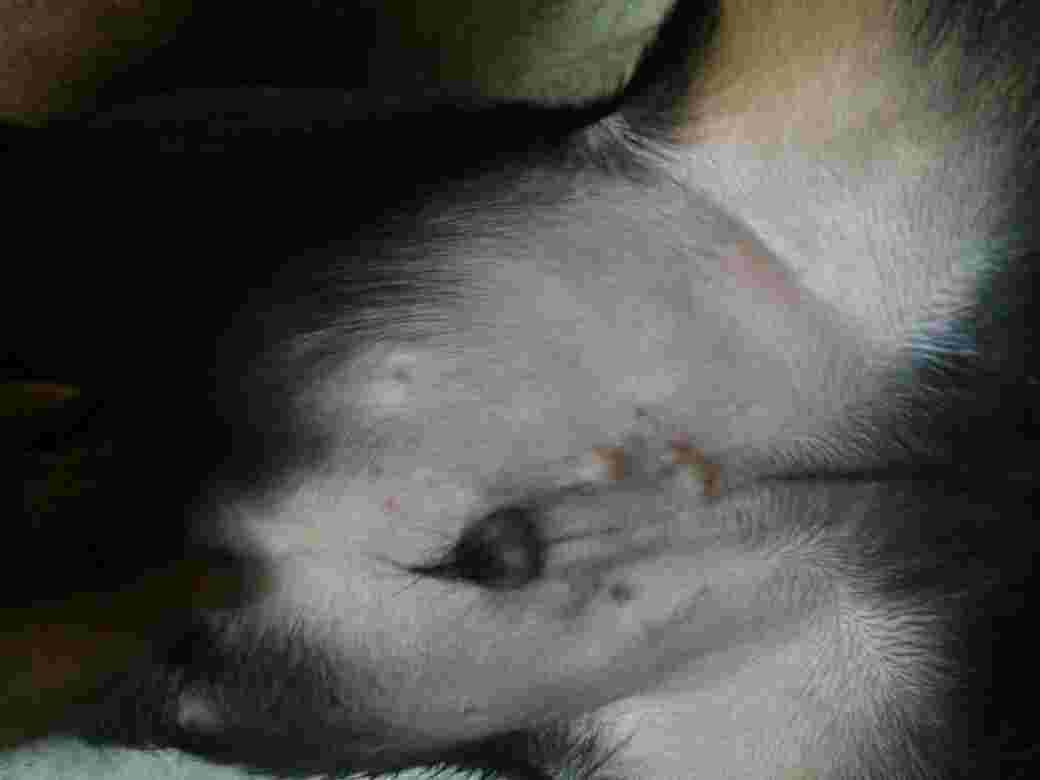 Question details sensitive content