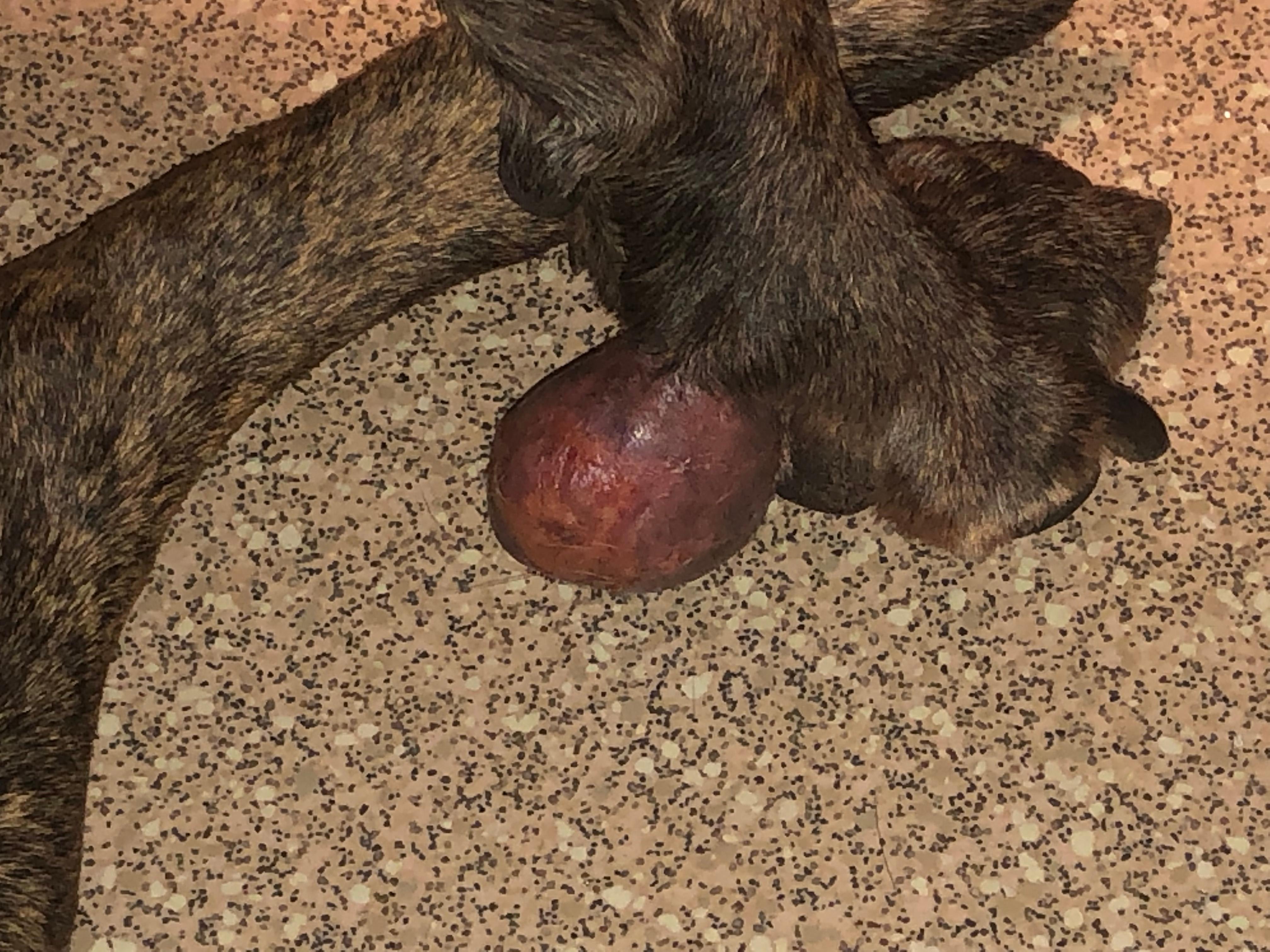 Question details sensitive content