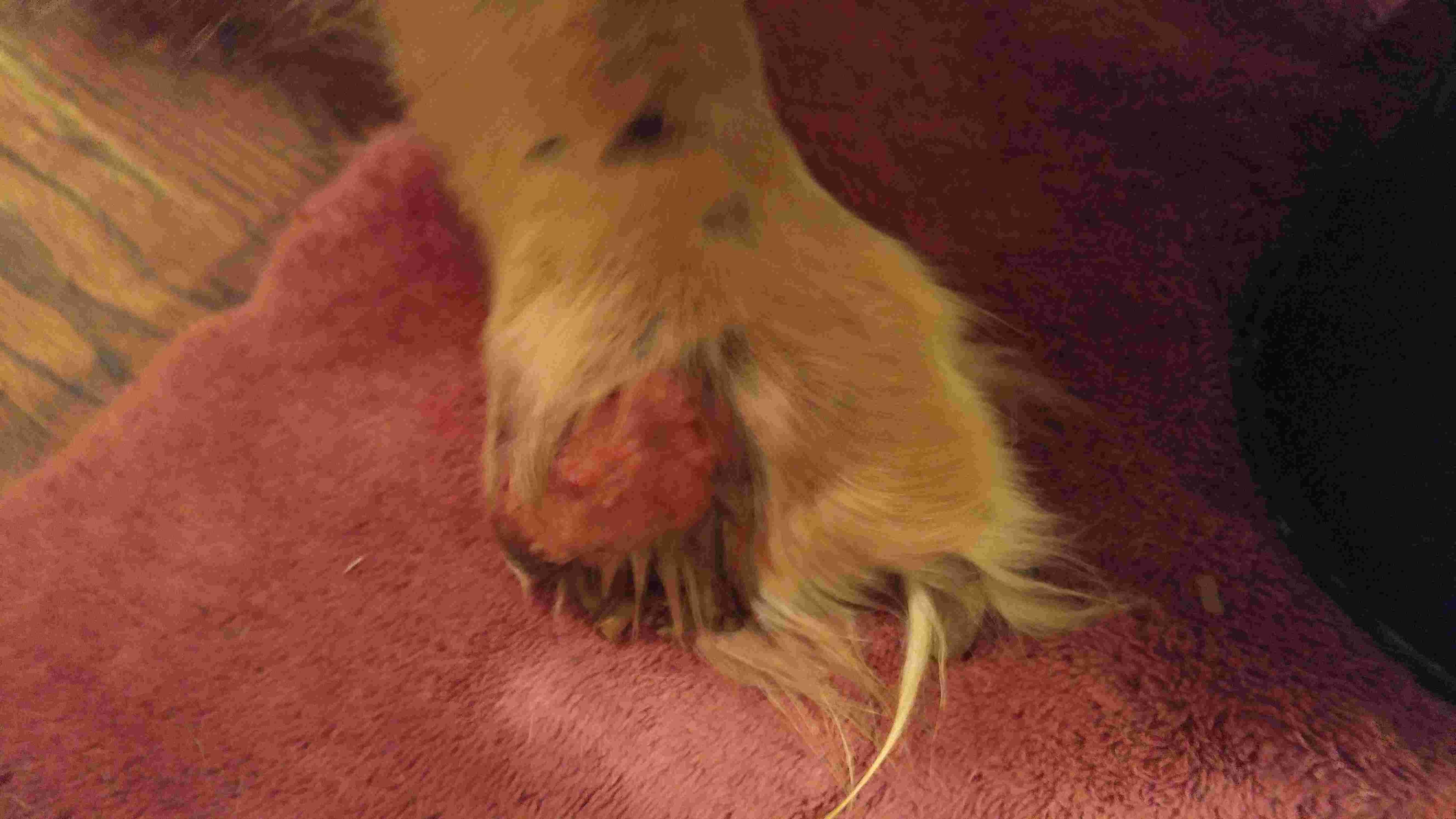 Question details sensitive content