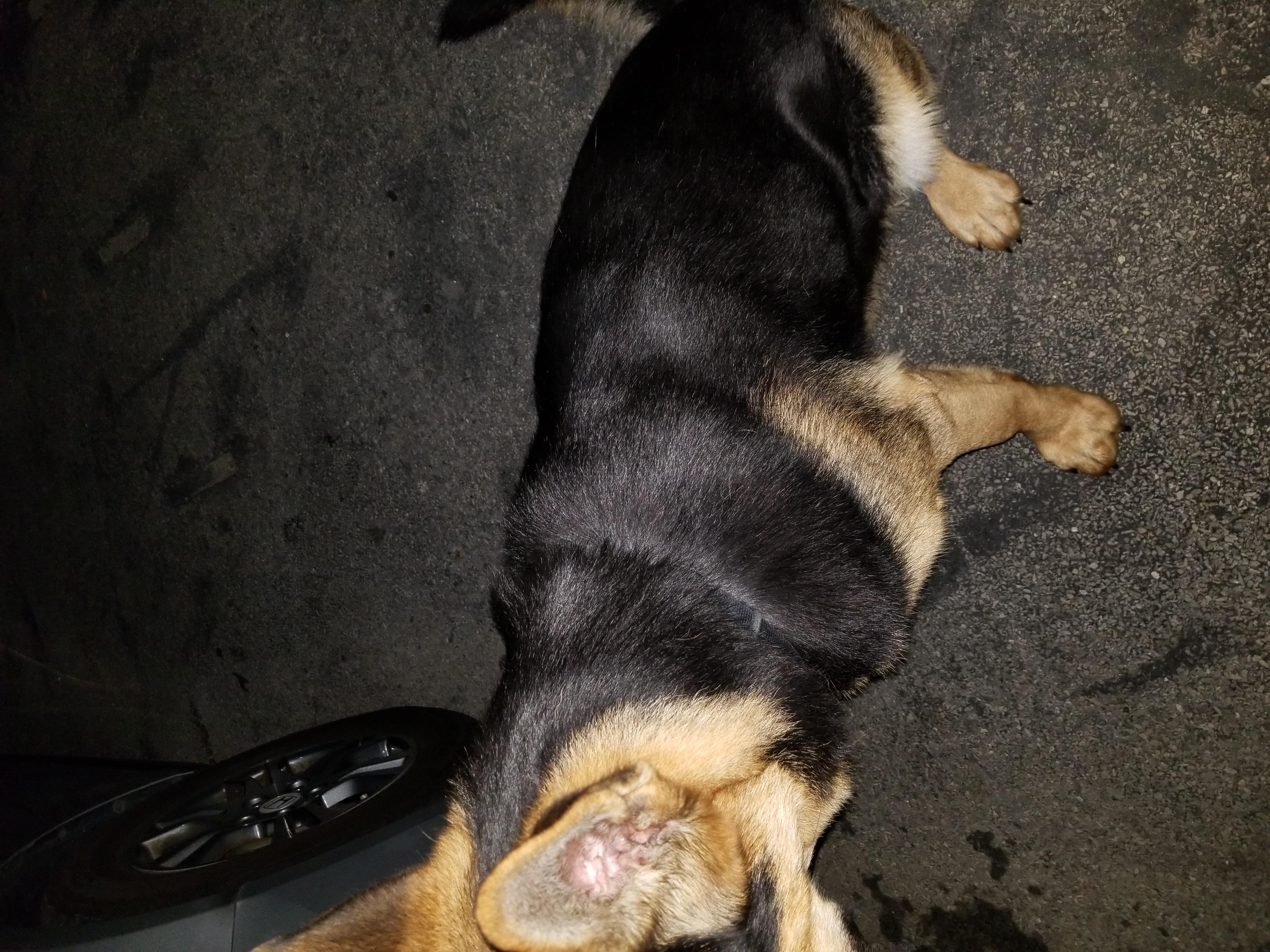 Question details sensitive content