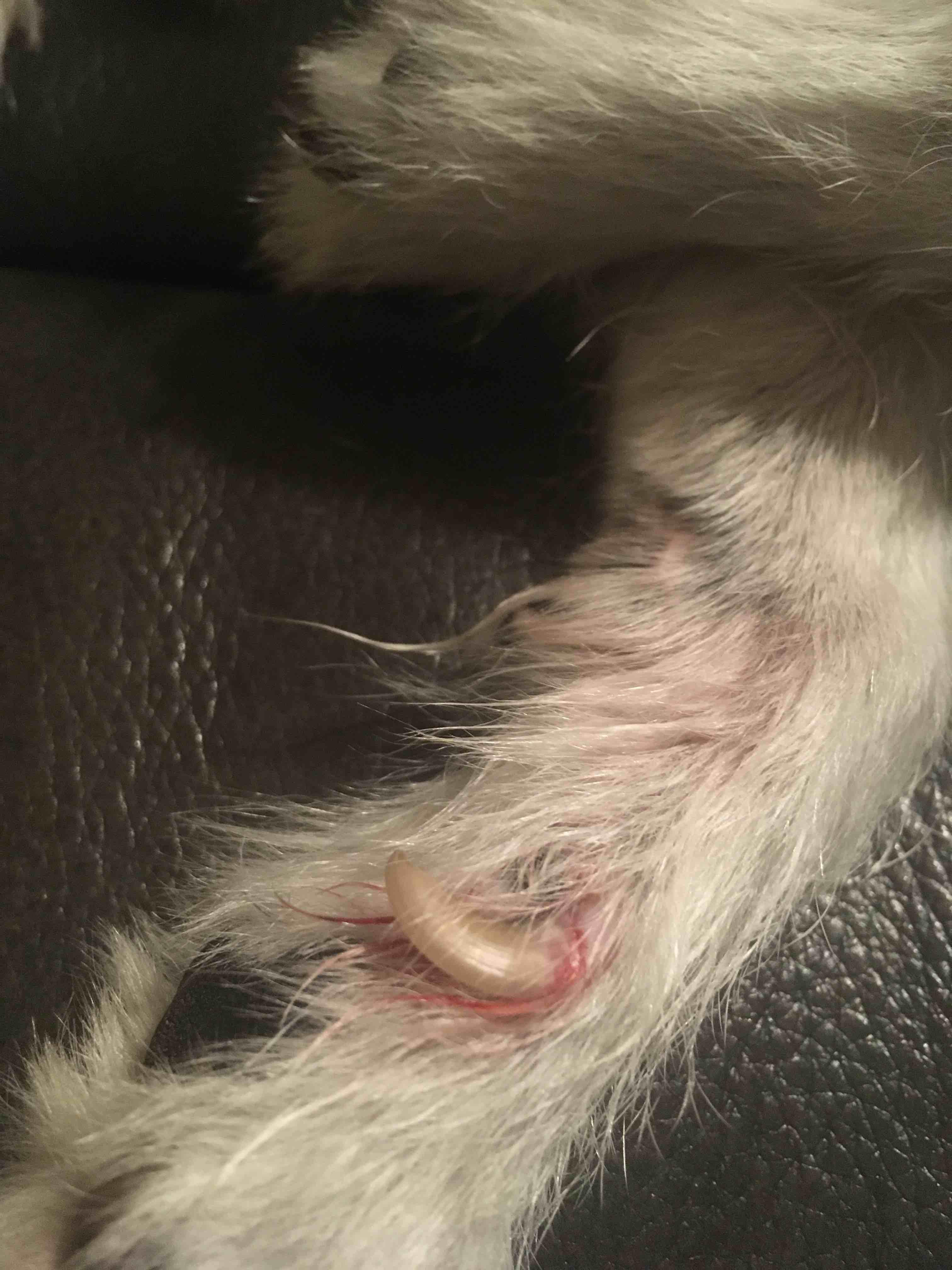 Question details sensitive content