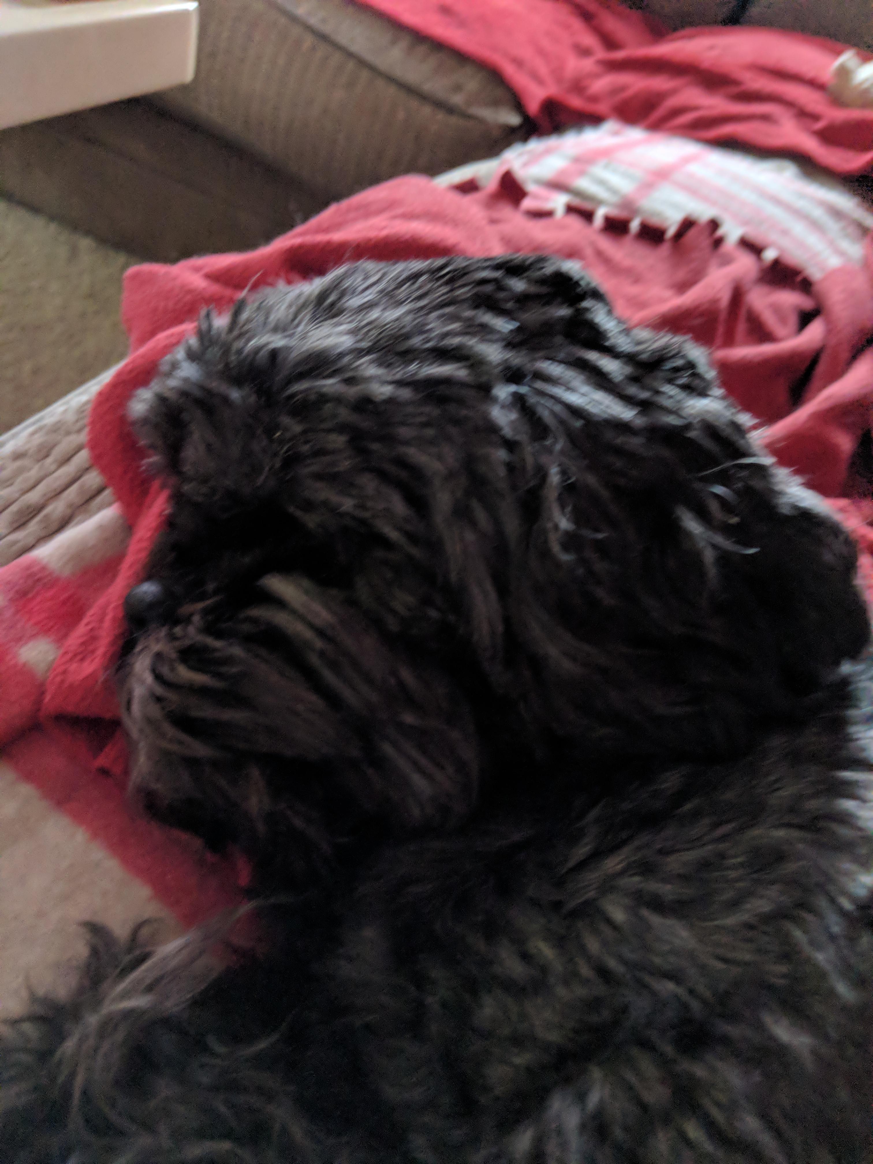 Question details sensitive content