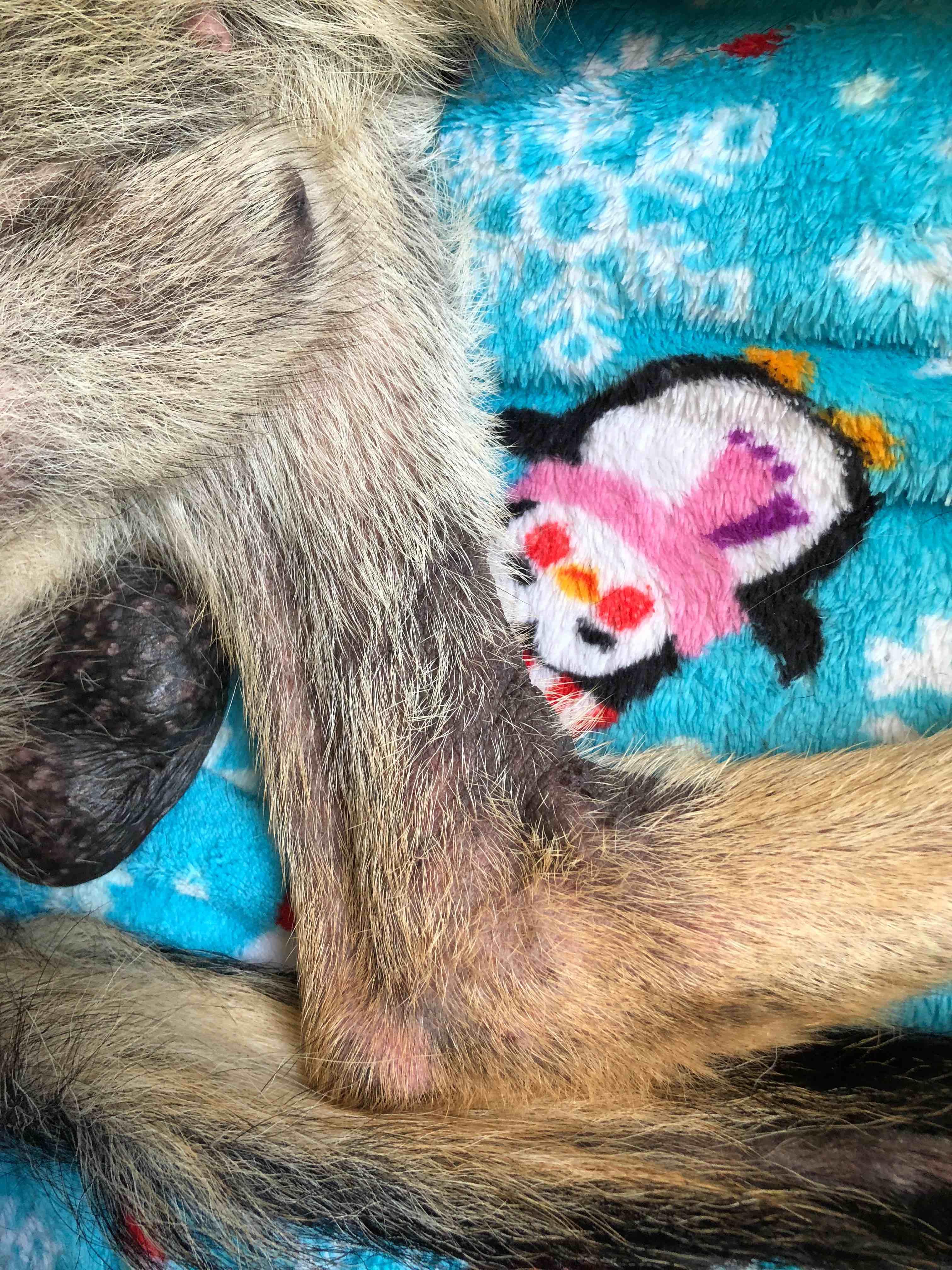 Question details sensitive content