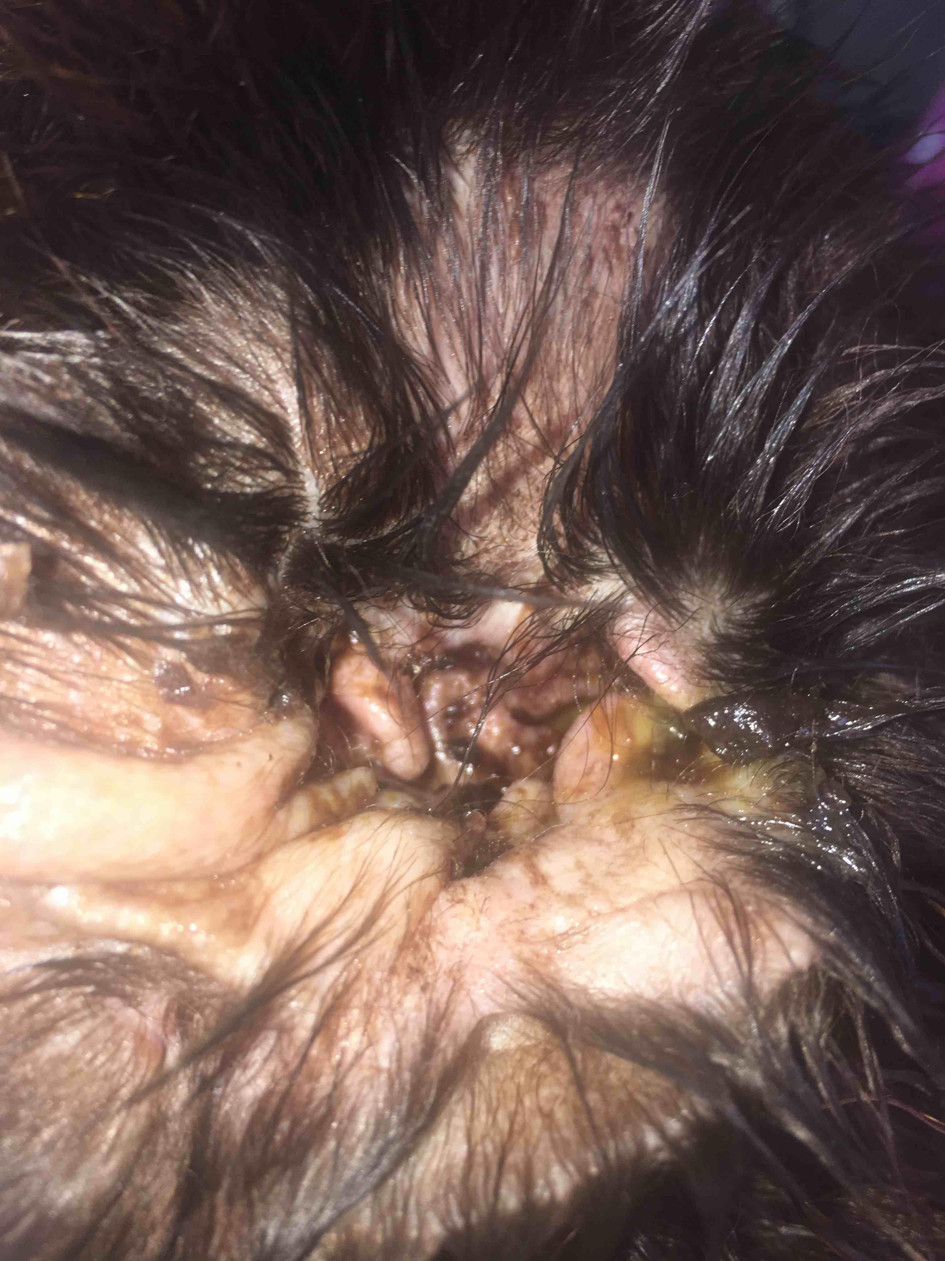 Question details sensitive content