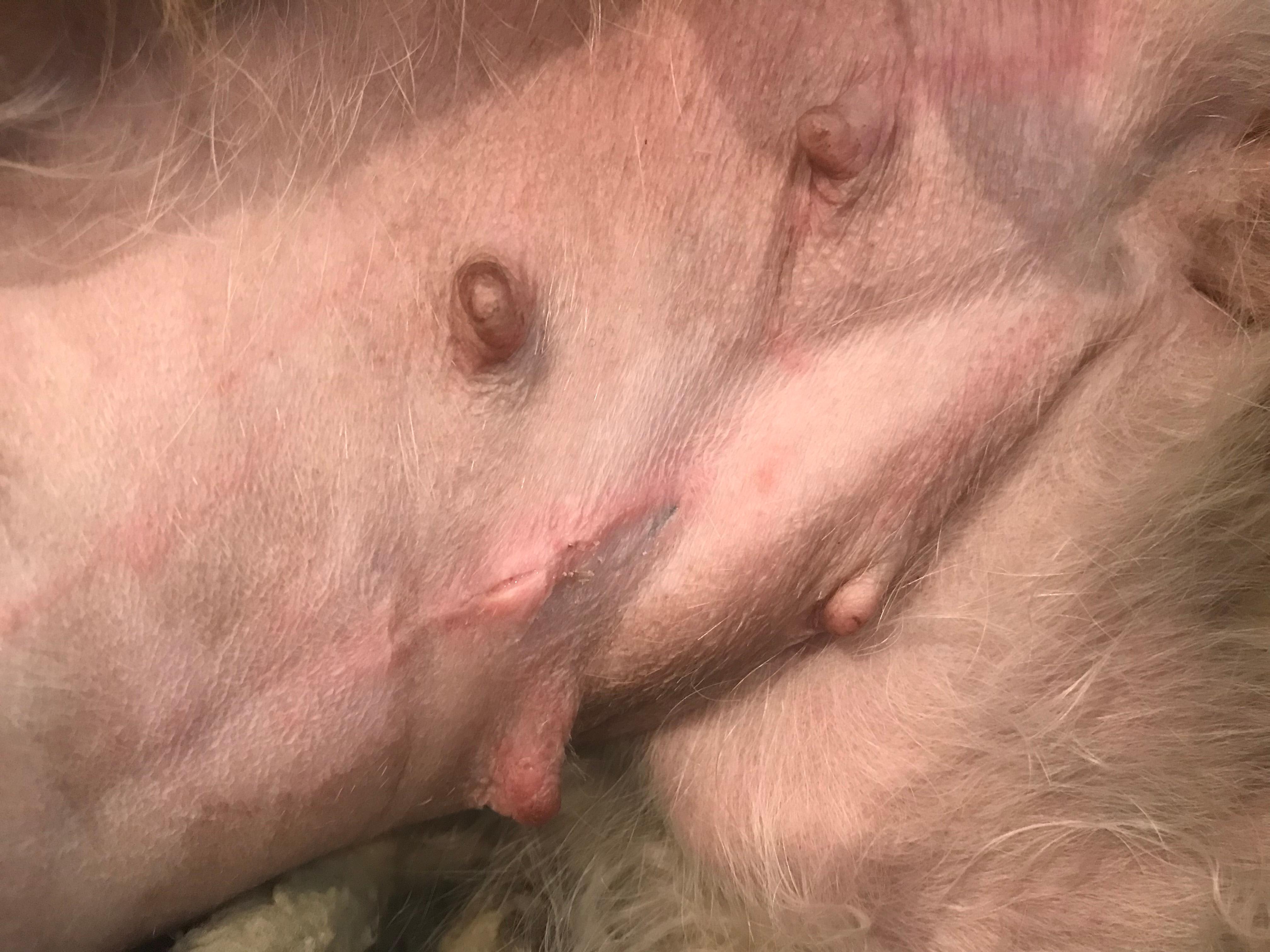 Question details sensitive content