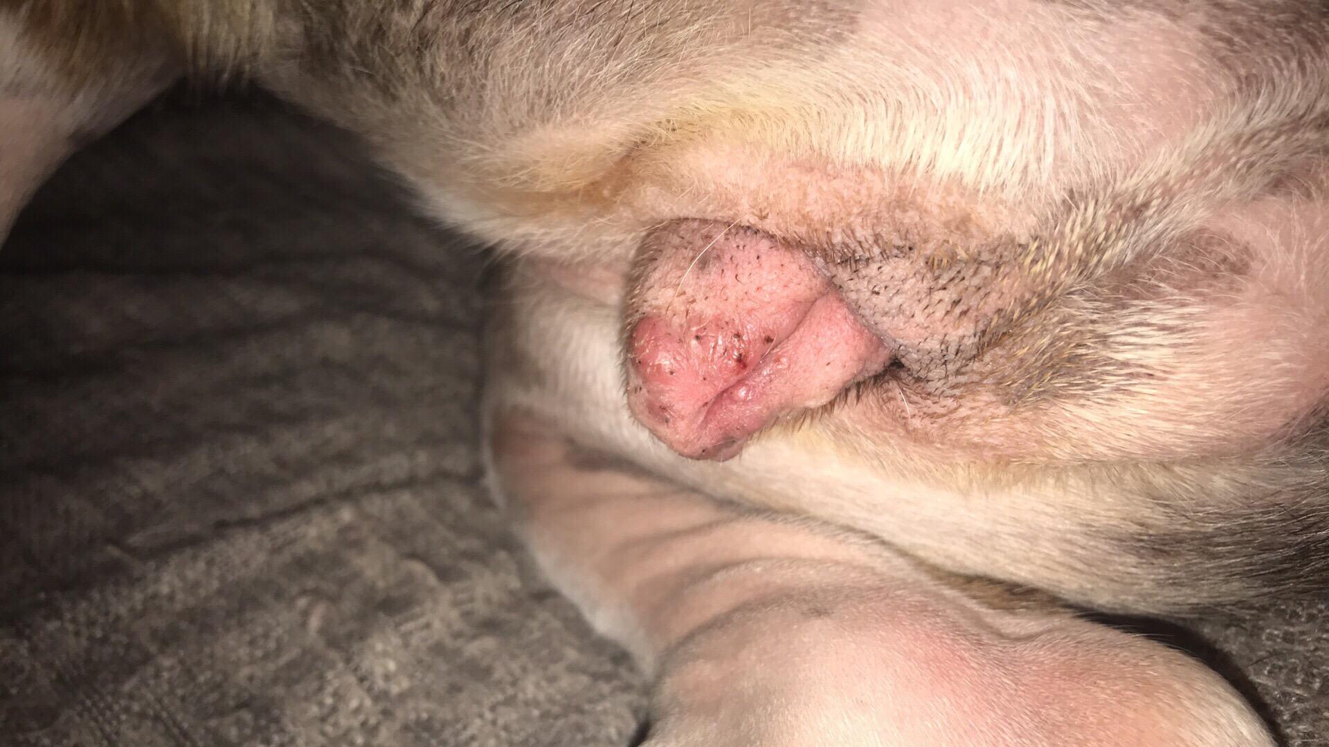 Question details sensitive content