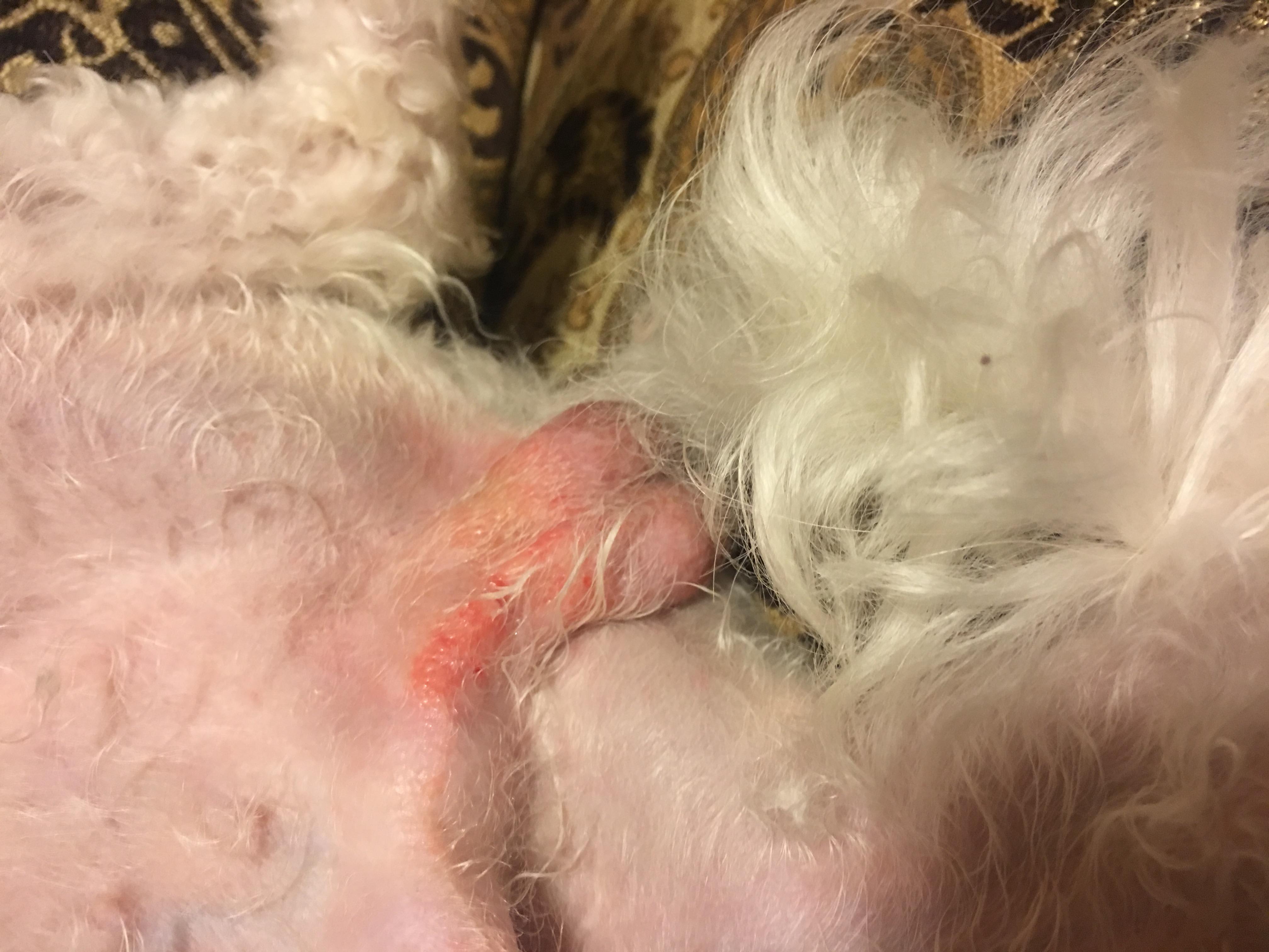 Question details sensitive content