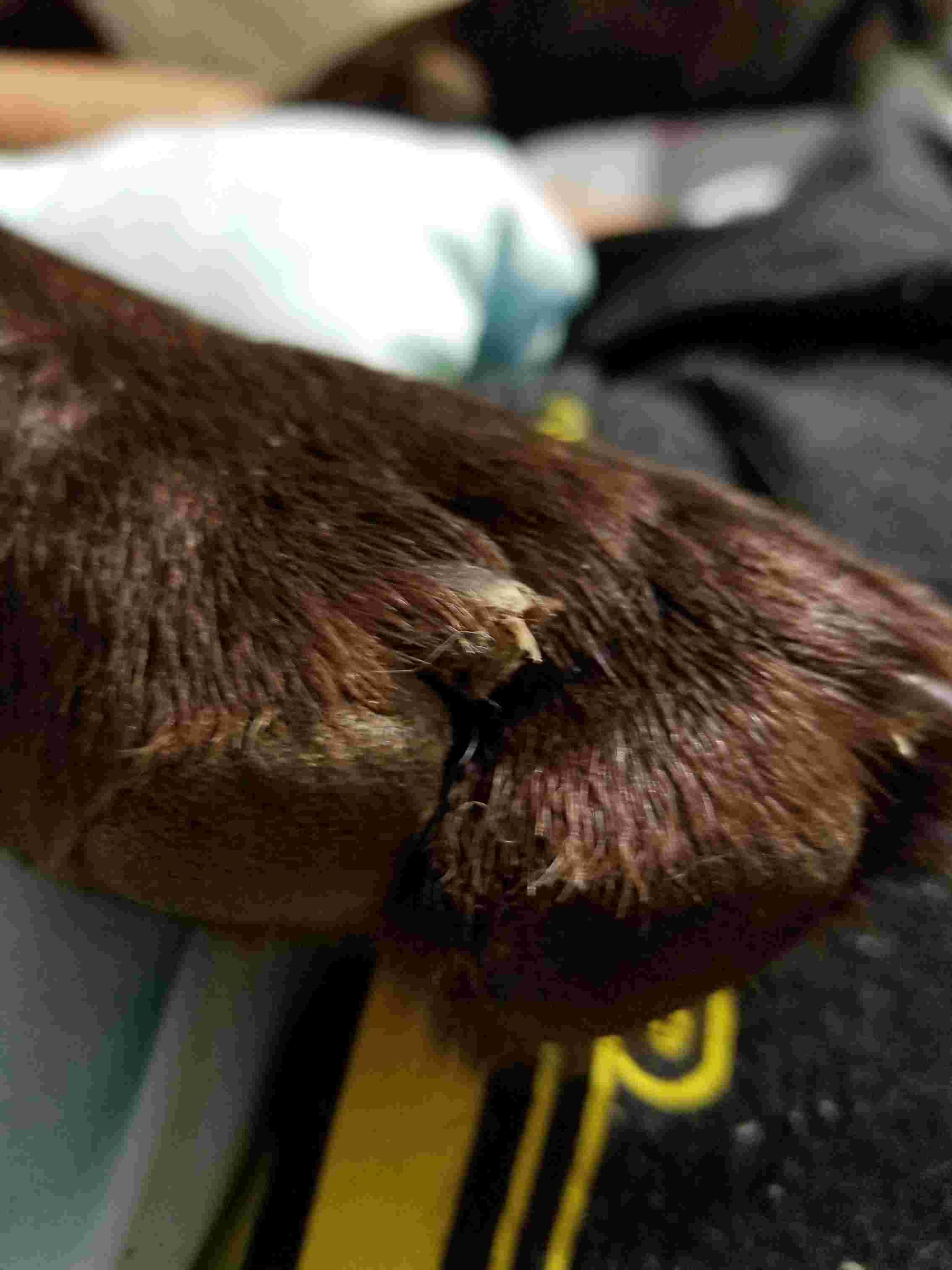 Question details sensitive content