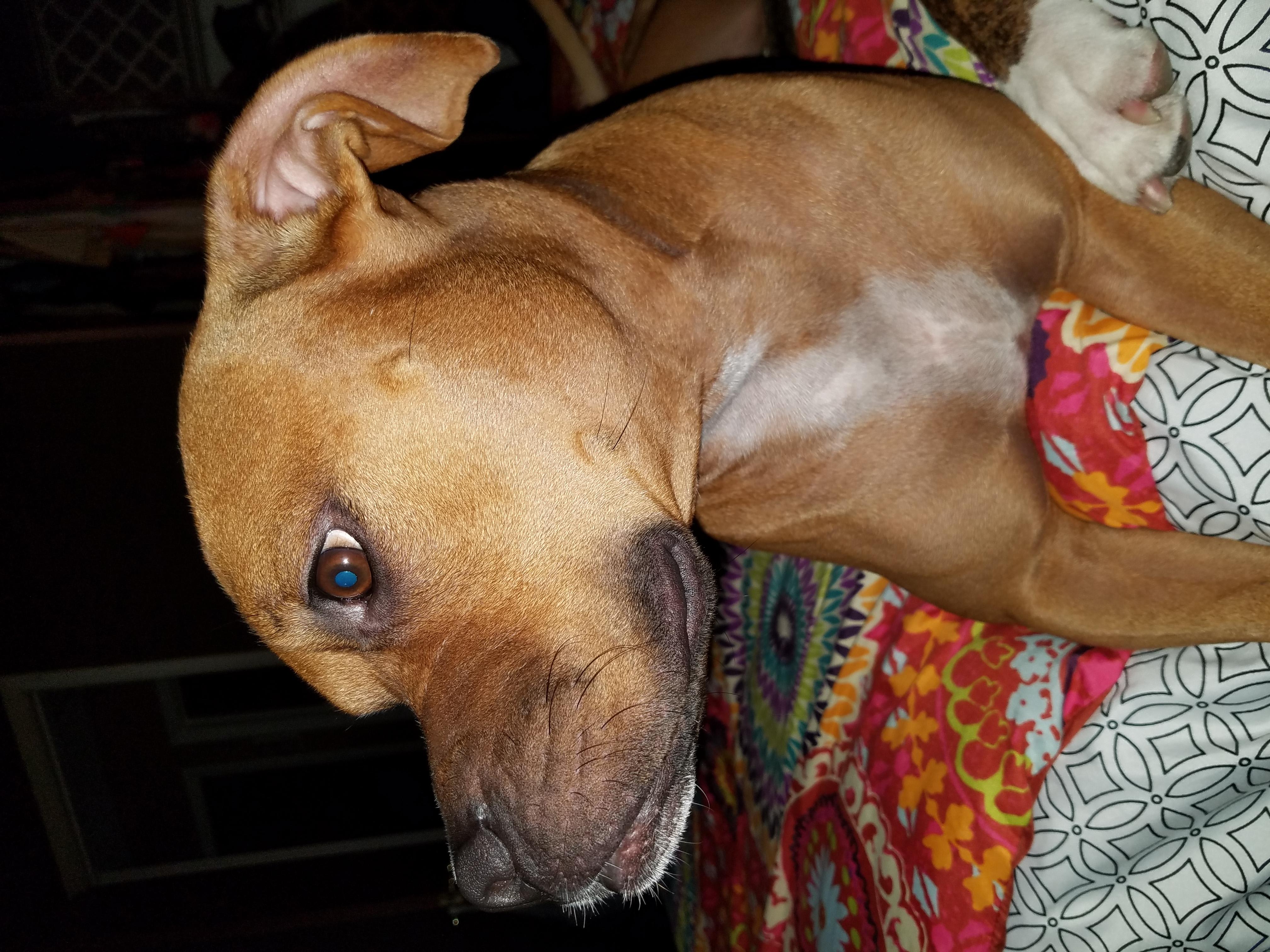 Question details sensitive content