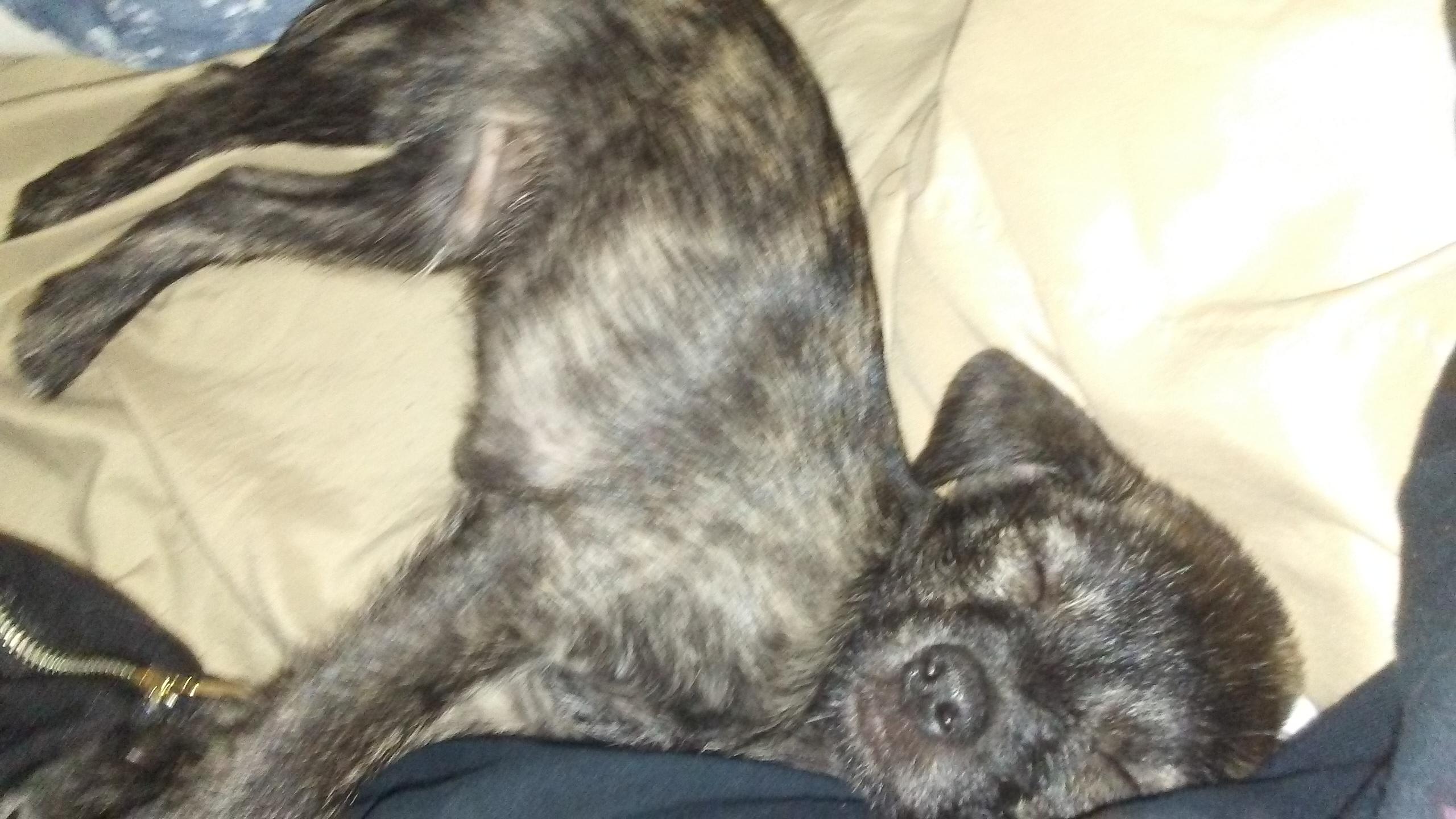 Question details sensitive content