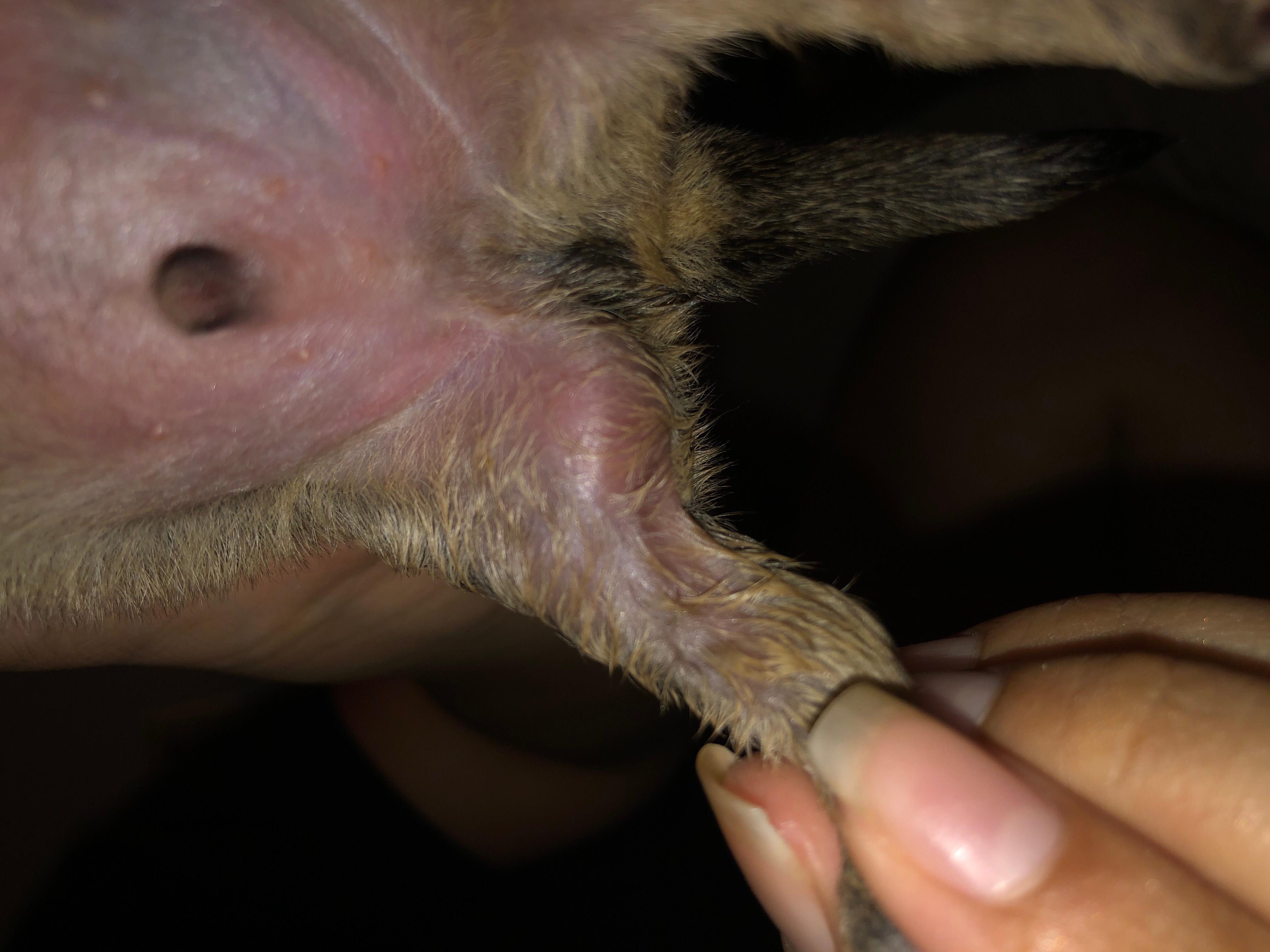 Question details sensitive content