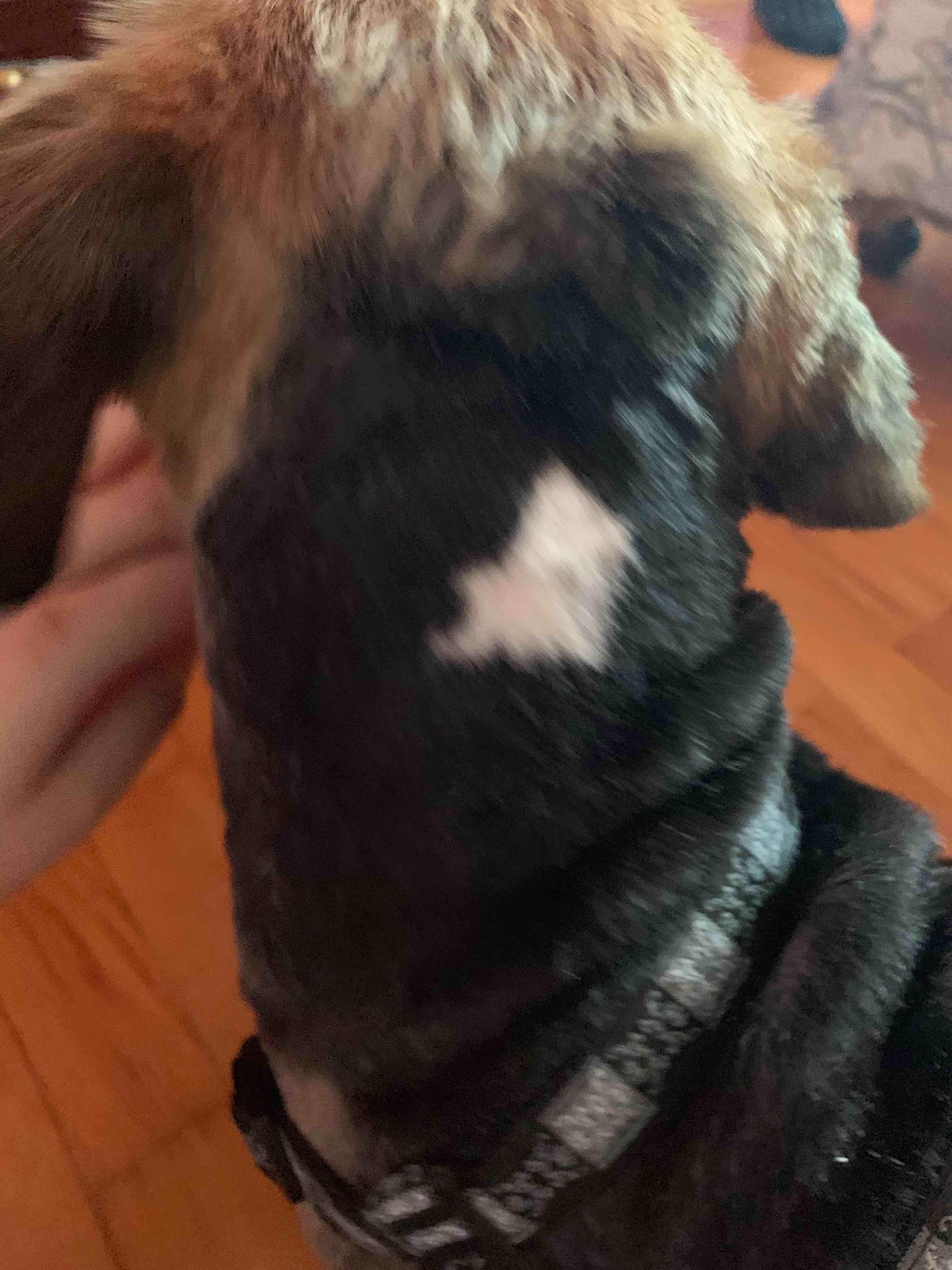 Question details sensitive content