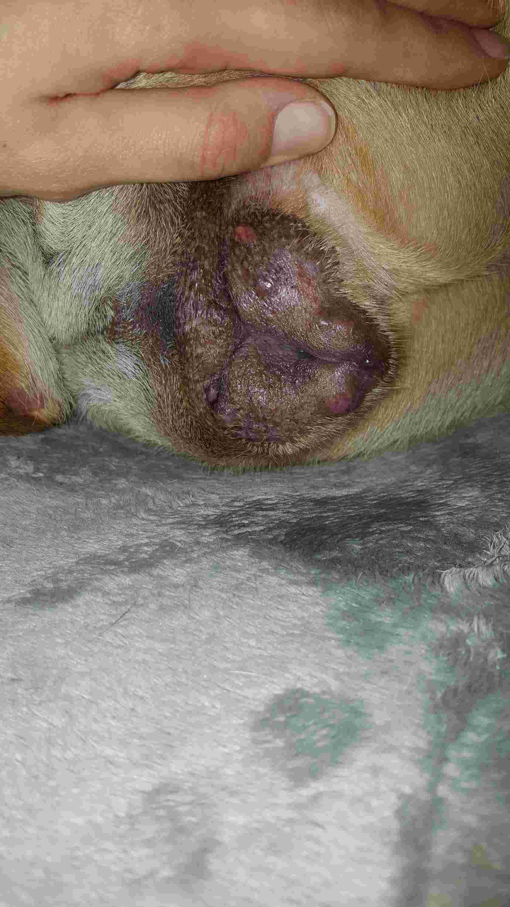 Question details sensitive content