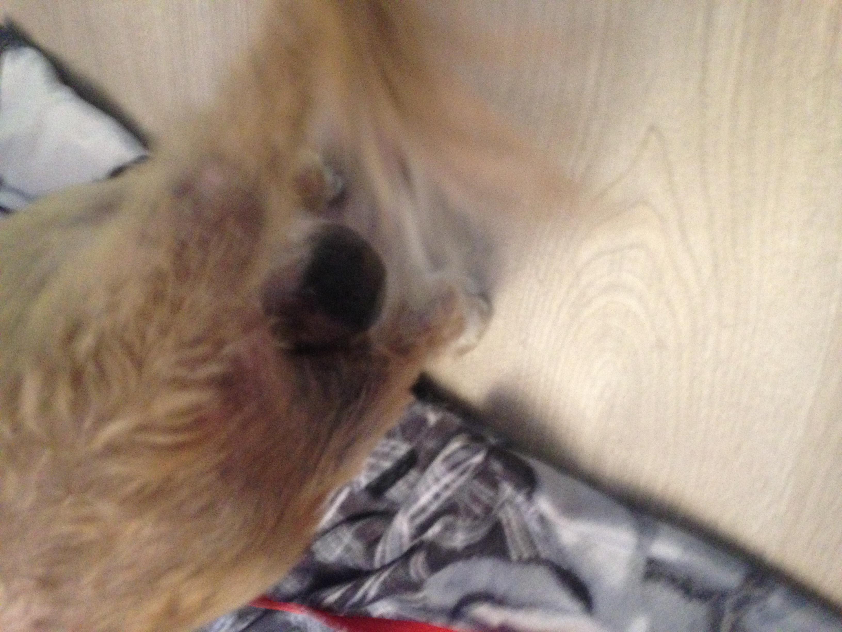 Question details sensitive content