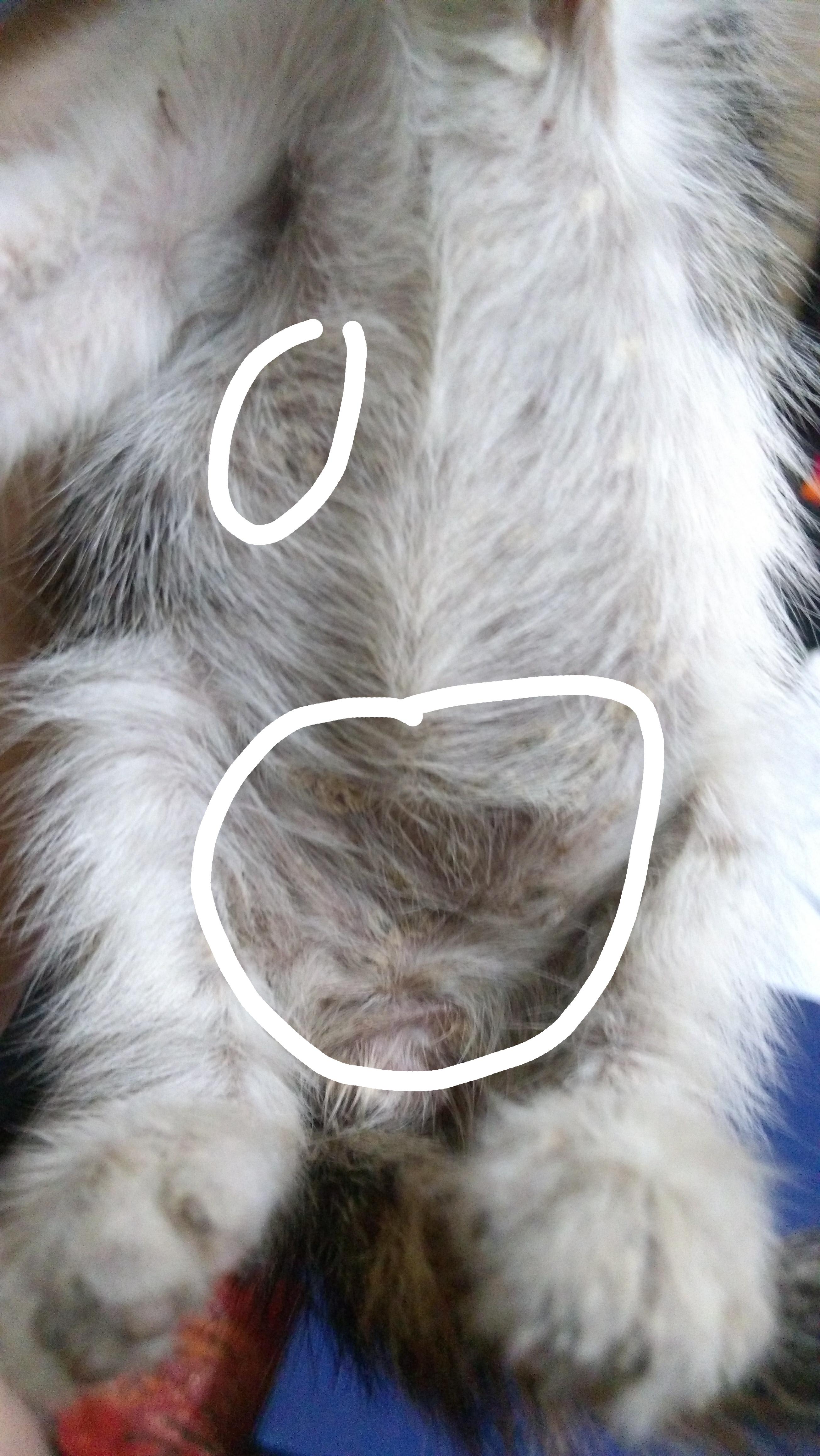 Question details sensitive content