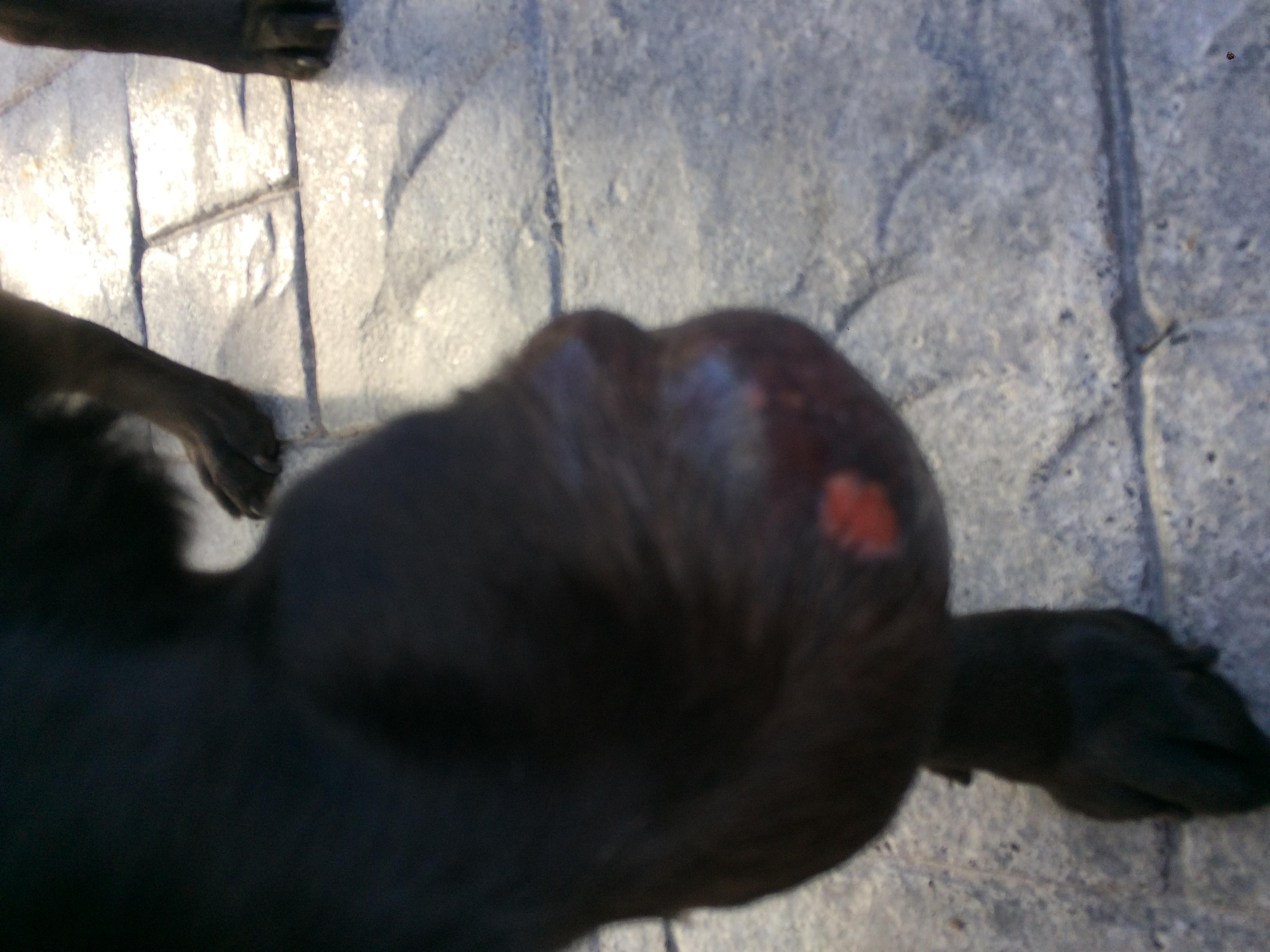 Question details sensitive content