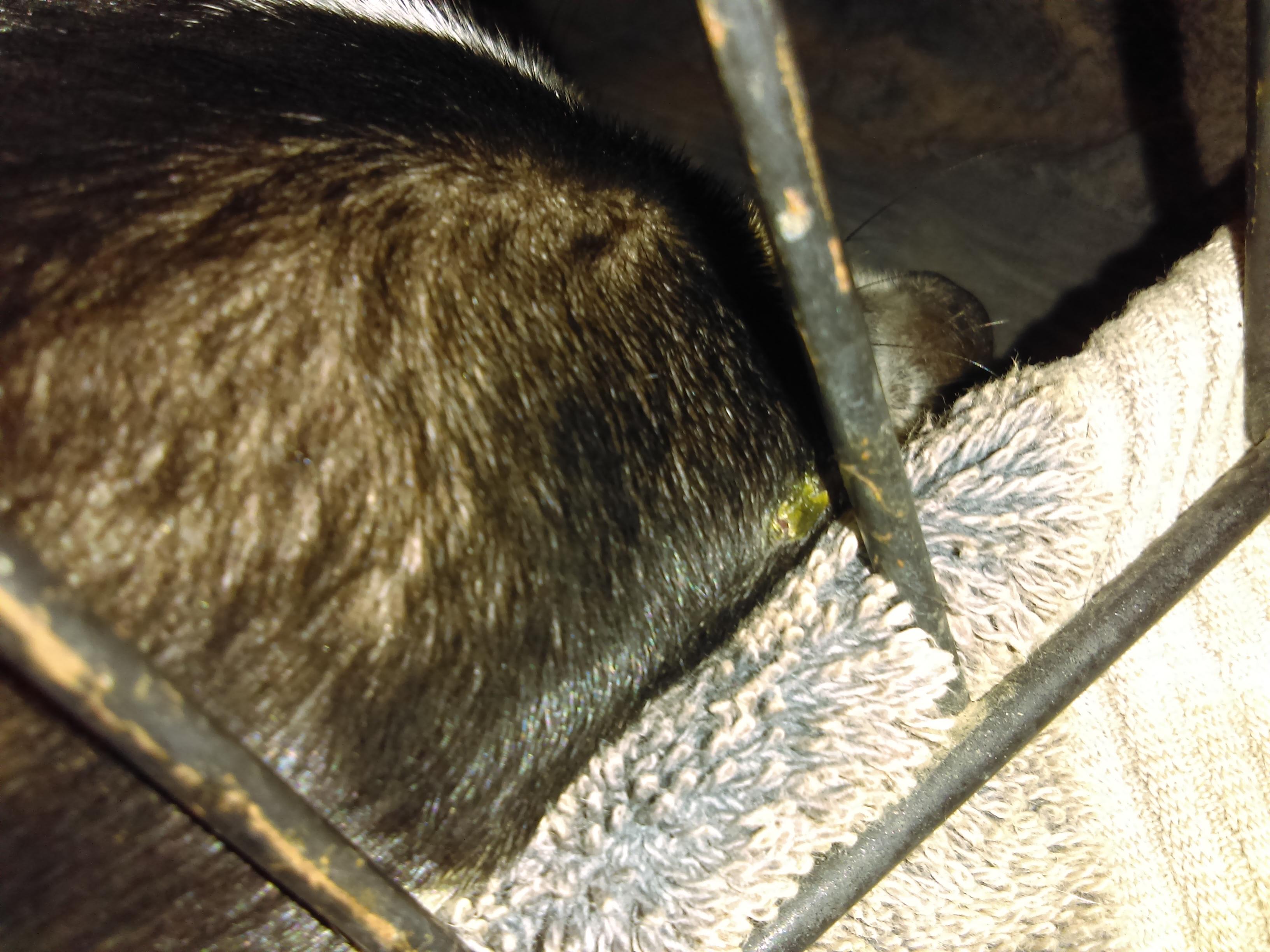 Question details sensitive content