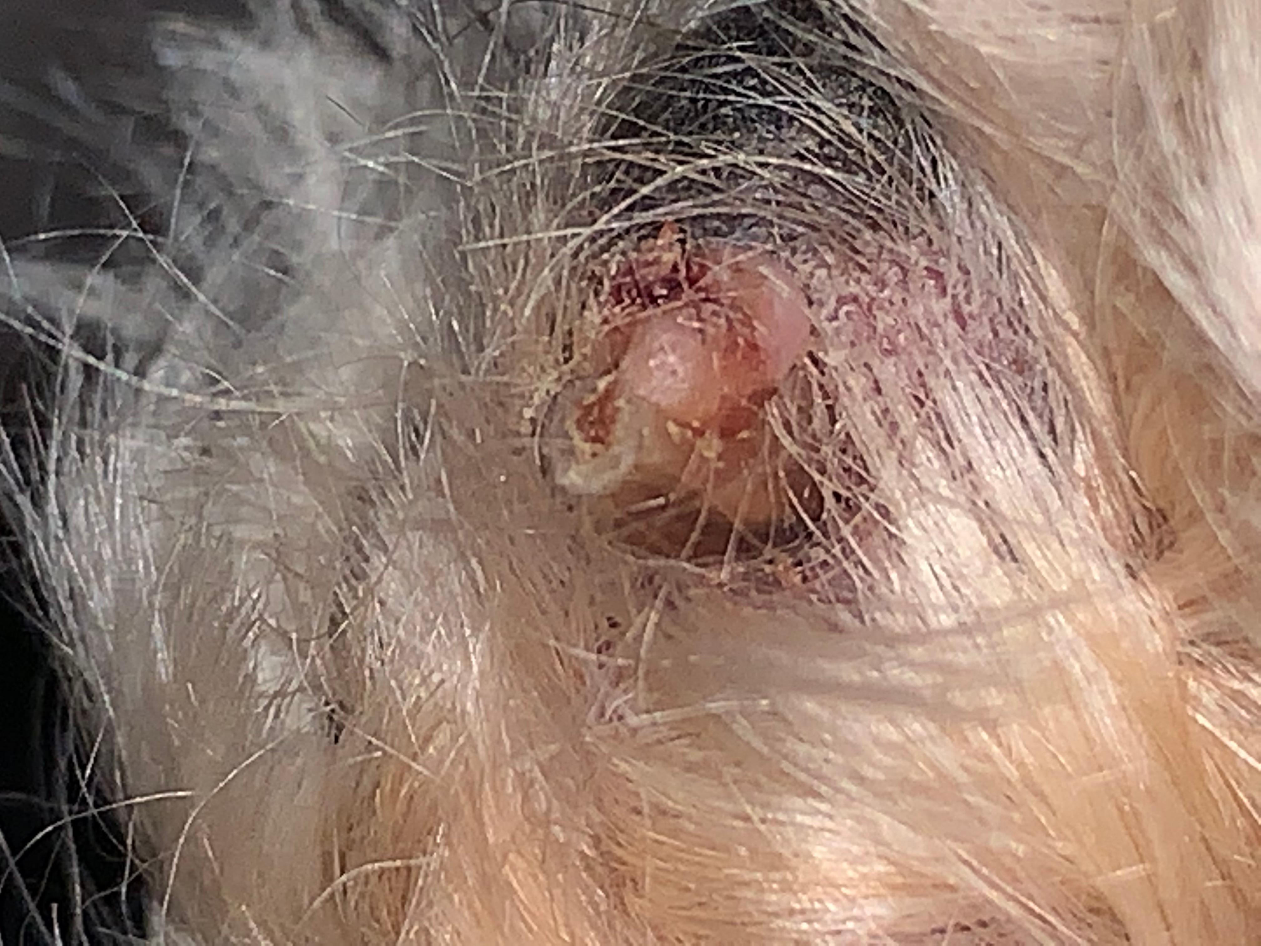 Question details sensitive content