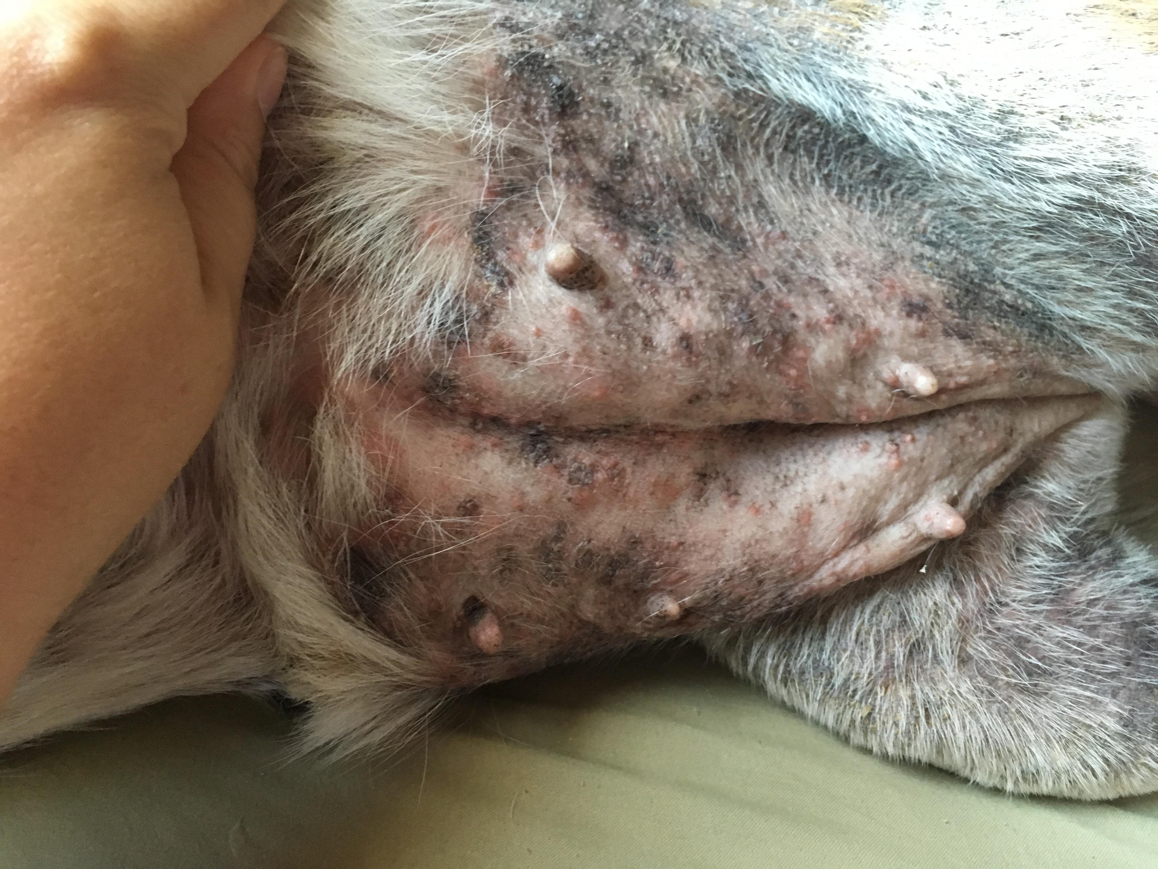 Question details sensitive content