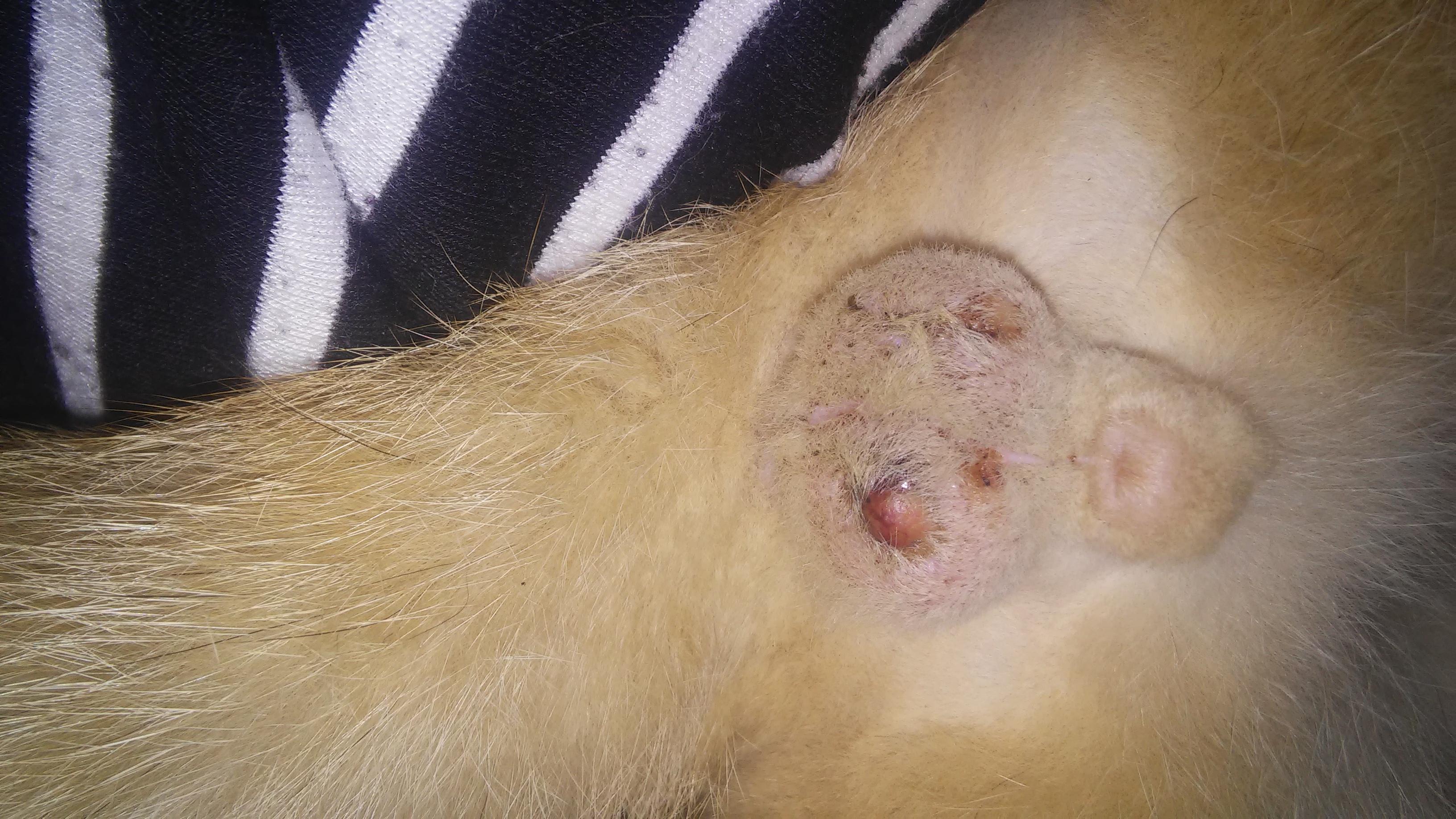 Question details sensitive content