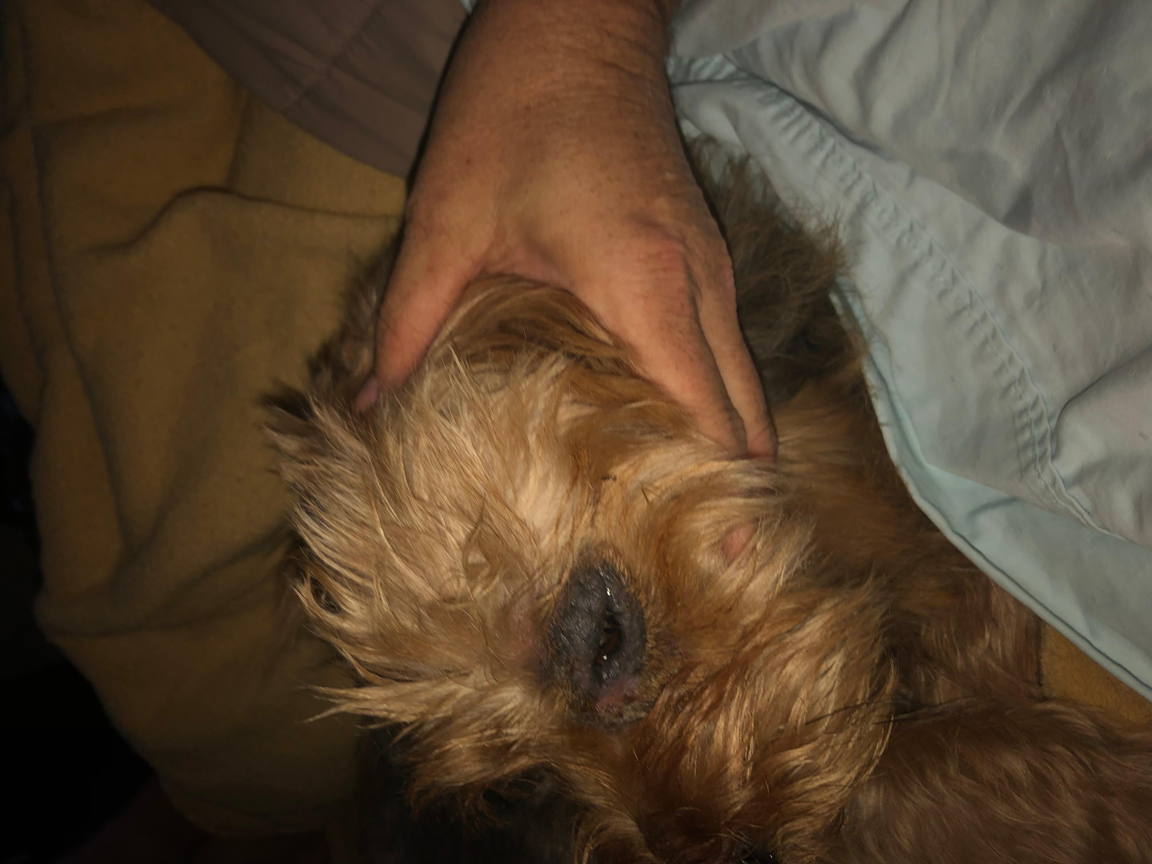 Question details sensitive content