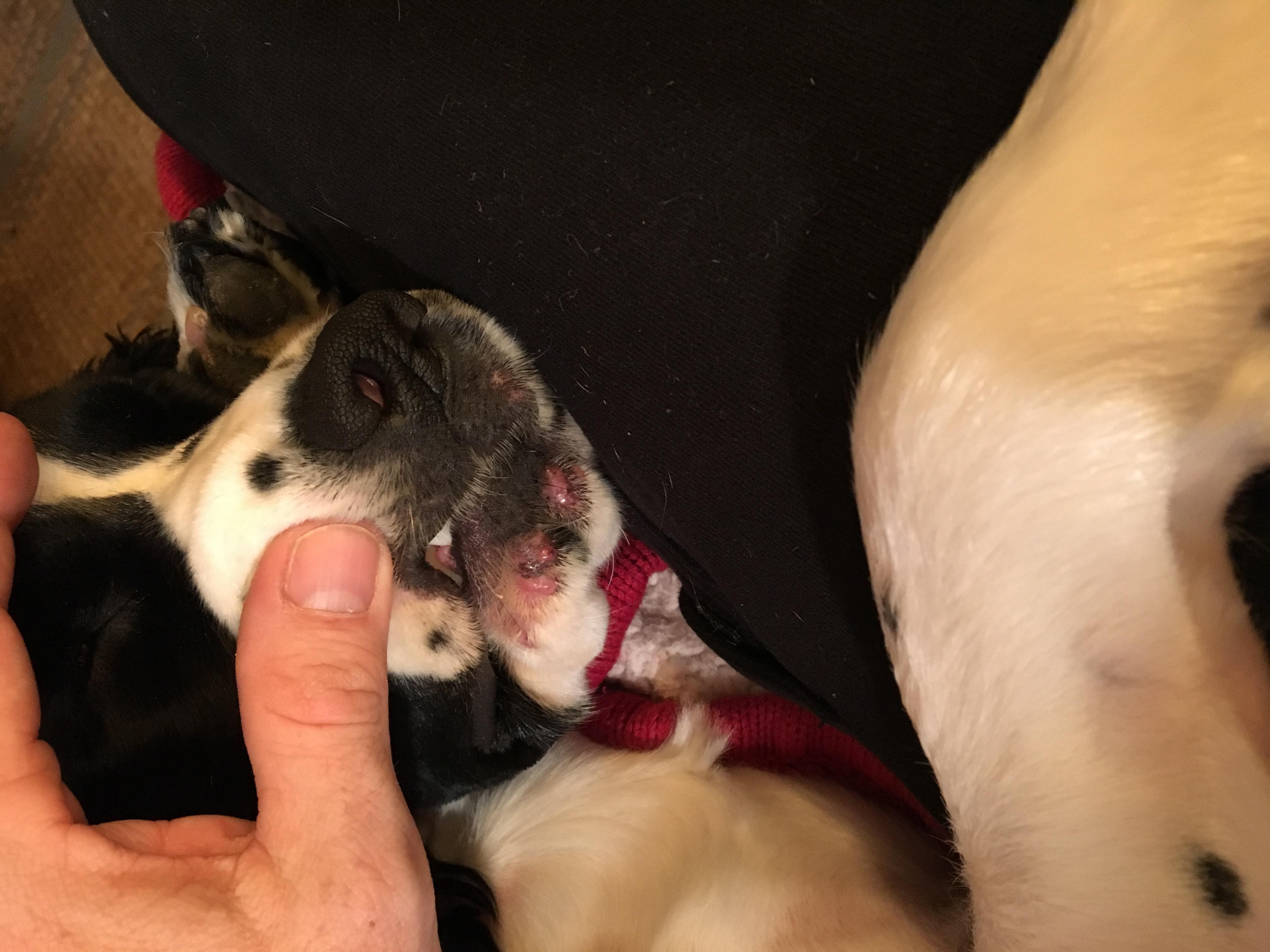 Question details sensitive content