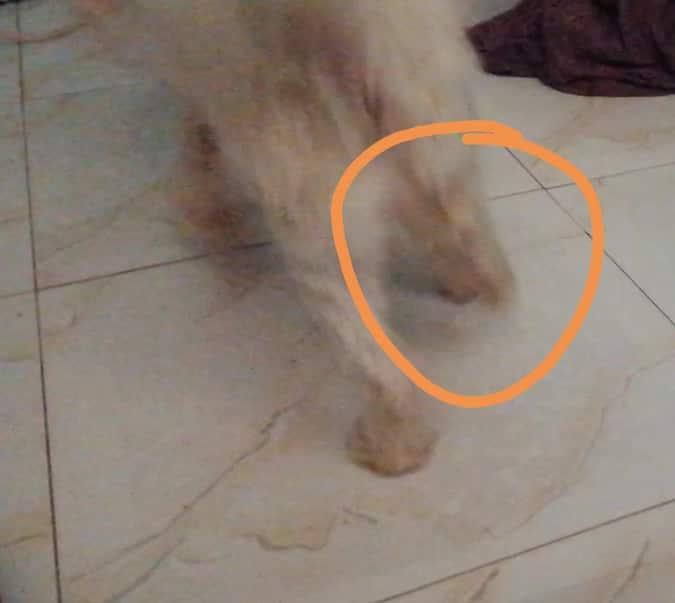 Question details sensitive content