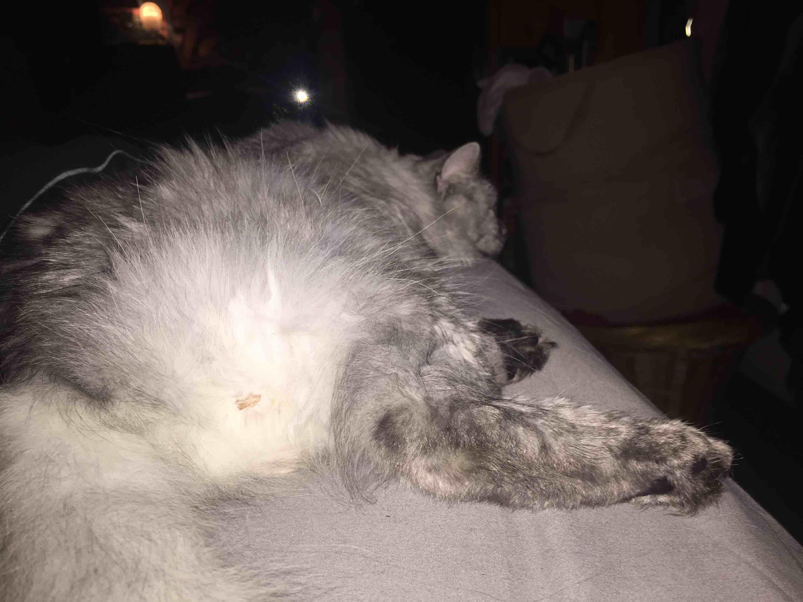 Question details sensitive content