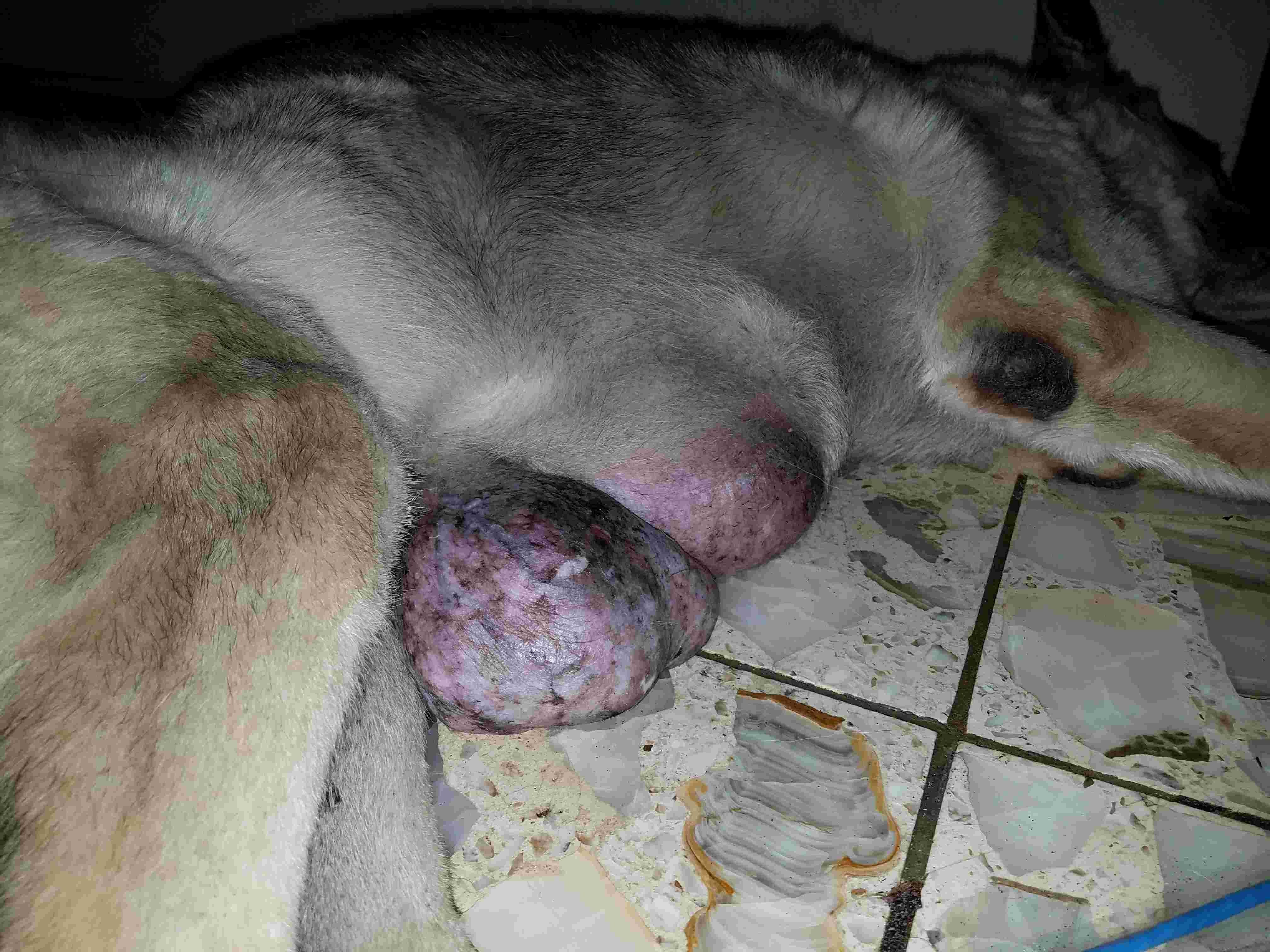 Question details sensitive content