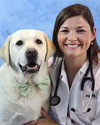 Amy Poole, DVM